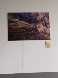 Levada Nova - 90x60 cm